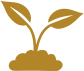 service-icon